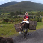 A young boy, his donkey and his dog sit for photos on the Ring of Kerry.
