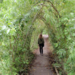 The grounds and gardens of Blarney Castle.