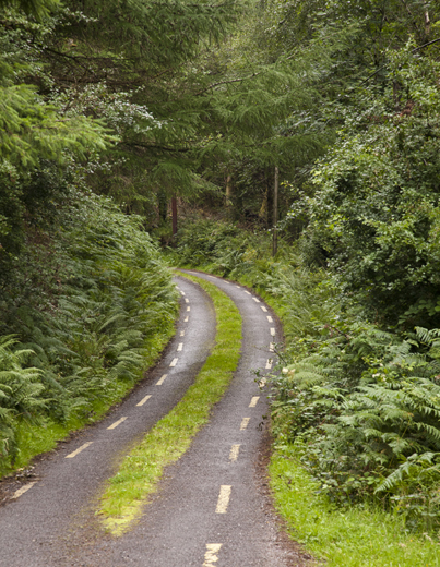 A single-lane country road, interior of County Kerry.
