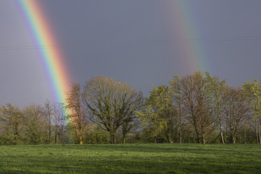 Double-rainbow in farmer's field, County Tipperary.