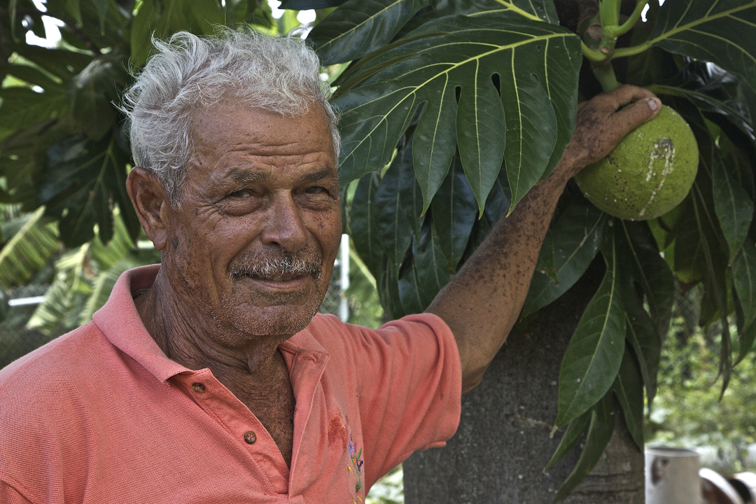 George Highland Hickson with his breadfruit tree.