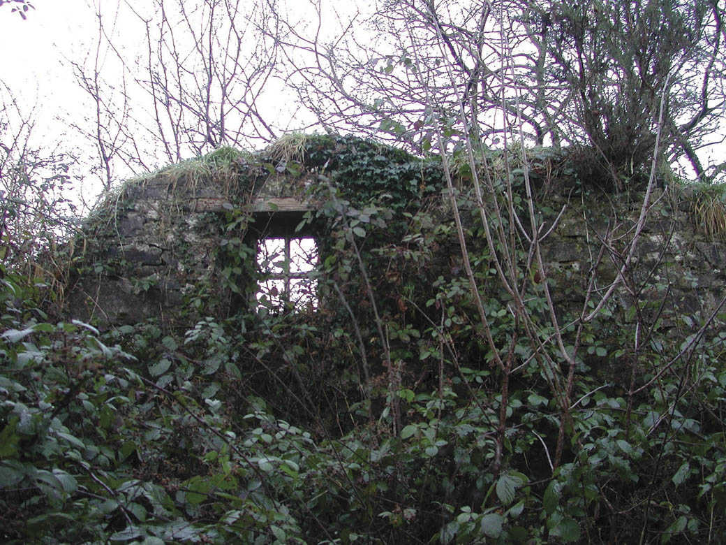 The remains of Biddy Early’s Cottage.