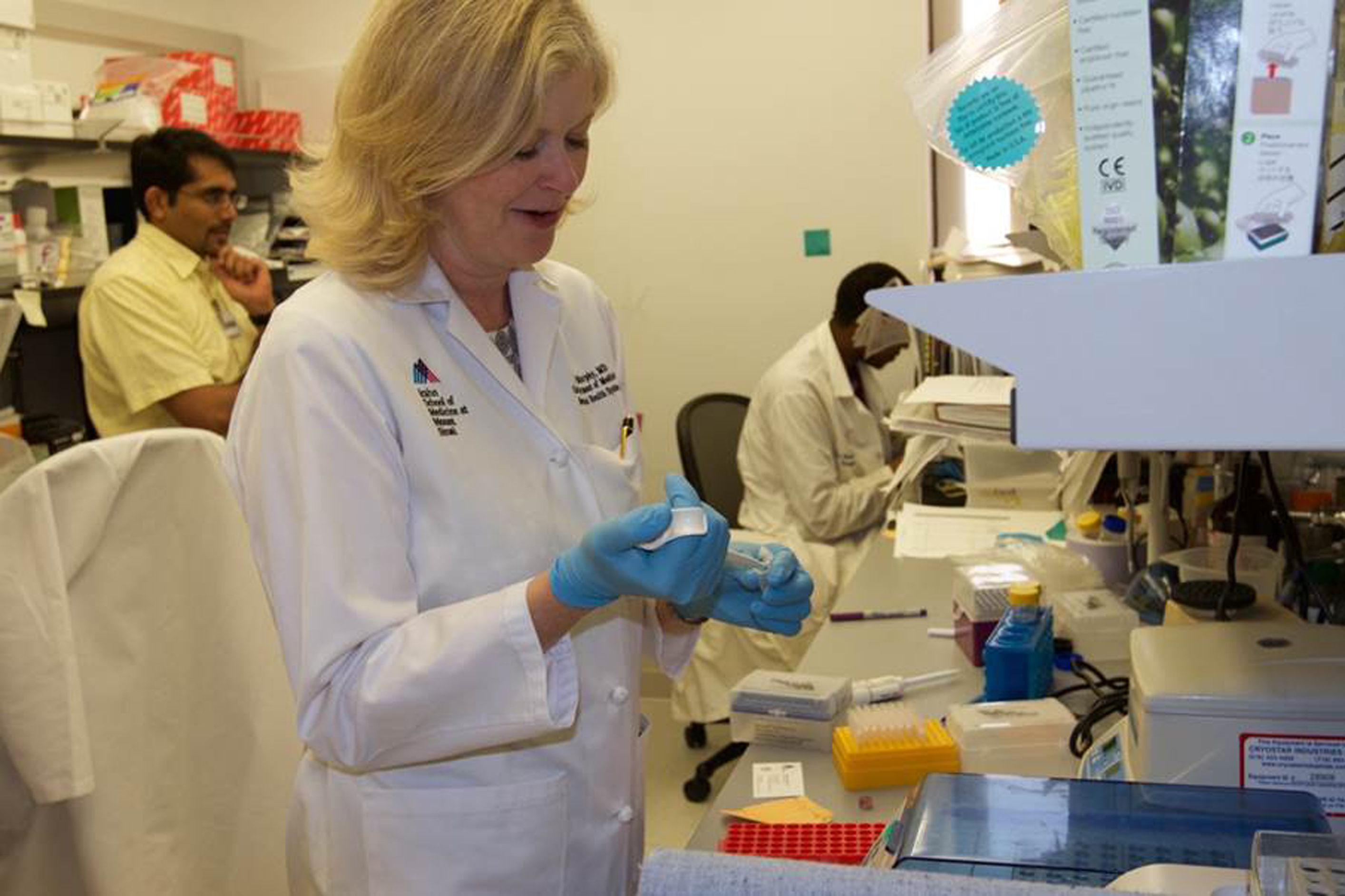 Inside the Murphy Laboratory at the Icahn School of Medicine in New York, where Dr. Murphy leads a team of researchers investigating differential  genomic expression as it relates to immune mechanisms that lead to the failure of a transplant graft, and thus of the organ. They hope to be able to use their findings to identify the specific genetic profile that would be able to predict those patients who might be at greater risk for graft loss. (Photo courtesy Barbara Murphy / Mount Sinai)