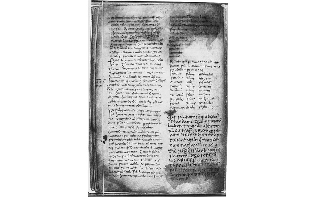 A page from the Book of Armagh, also known as the Canon of Patrick, a 9th century illuminated manuscript. Written mostly in Latin, it also contains some texts in Old Irish. It is held by the library of Trinity College, Dublin.
