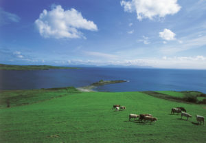 The green pastures of Kilcar. Courtesy of Tourism Ireland.