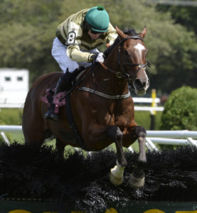 Barnstorming, with jockey Sean McDermott in the saddle, flies over the final fence to win the Michael D. Walsh Novice Stakes on Aug. 15 ay Saratoga. Photo: Skip Dickstein/Times Union.