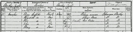 Griffiths family in 1851 Wales census.