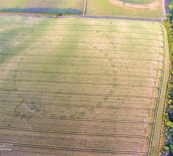 An Old Henge Emerges at Newgrange