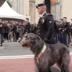 A member of the New York Army National Guard’s 1st Battalion, Fighting 69th Infantry Regiment, leads the battalion’s Irish wolfhound up Fifth Avenue in the 2019 St. Patrick’s Day Parade.